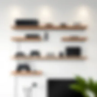 Modern wall-mounted shelf showcasing various gaming accessories