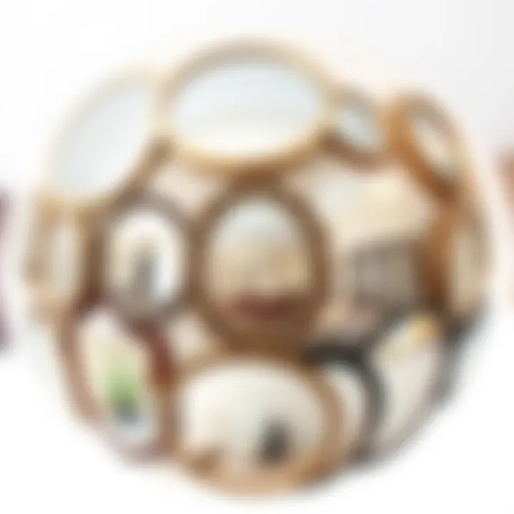 A collection of fisheye mirrors showcasing different designs