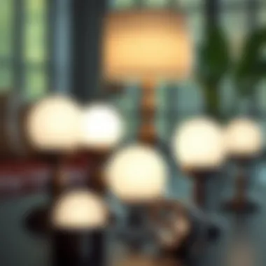 Diverse Selection of Lamp Globe Holders Selection of lamp globe holders for diverse home settings