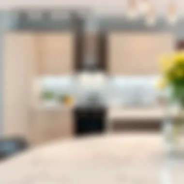 Sleek design of 9 inch kitchen cabinets showcasing modern aesthetics