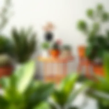 Elegant arrangement of orange metal side table with potted plants