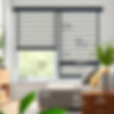 Types of Blackout Blinds Explained Diagram illustrating various types of blackout blinds and their features