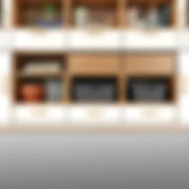 Versatile Design of Flip Out Storage Solutions Flip out storage bins showcasing versatility in design