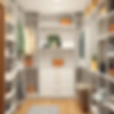 Functional closet shelving maximizing storage space