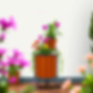 Elegant mobile garden pot stand showcasing vibrant plants Elegant mobile garden pot stand with vibrant plants