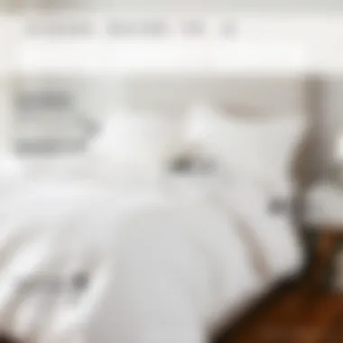 Visual Guide to White Duvet Cover Maintenance Maintenance tips displayed visually for white duvet cover care