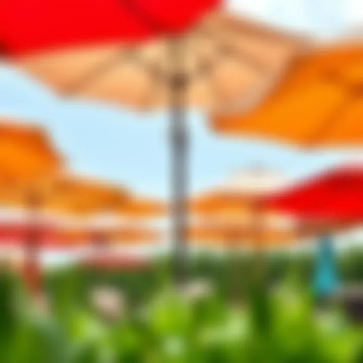 Diverse Design Options for Large Deck Umbrellas Variety of large outdoor umbrellas showcasing different colors and designs.