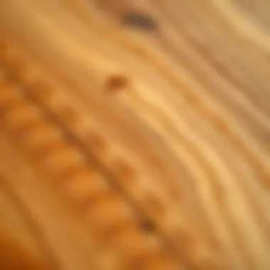 Close-up of the grain and texture of pine wood