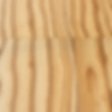 Close-up of oak wood grain highlighting its natural beauty