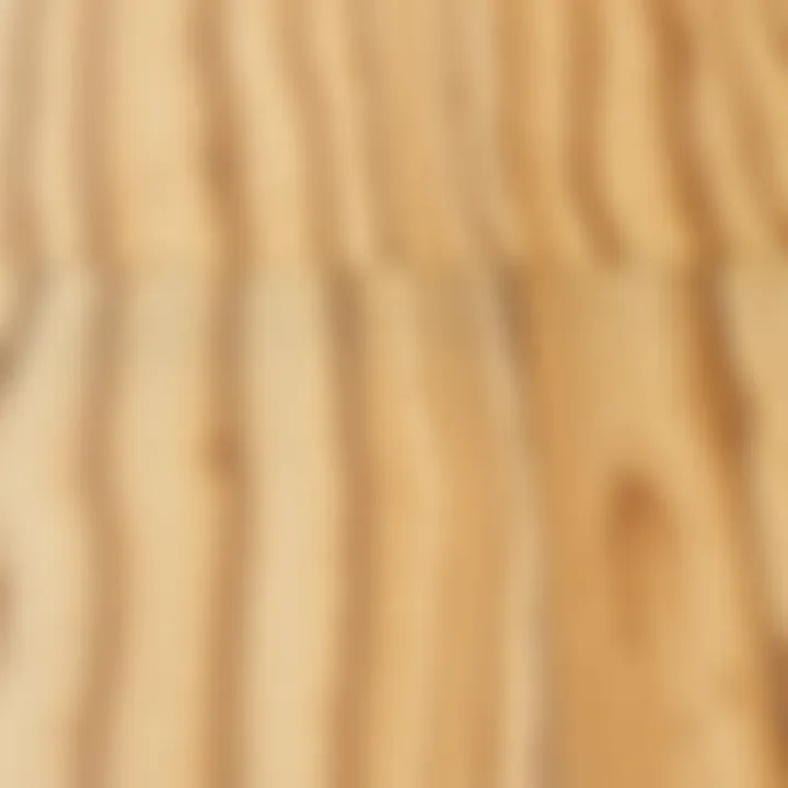 Close-up of oak wood grain highlighting its natural beauty