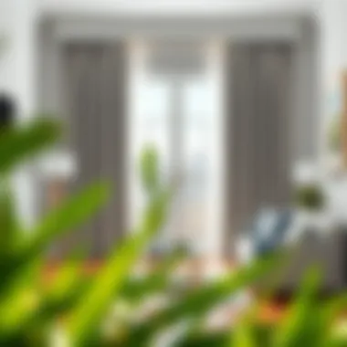 Contemporary Space with Sidelight Panel Curtains Contemporary interior featuring sidelight panel curtains