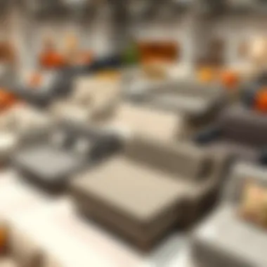 Showcase of Sofa Options Futons, sleeper couches, and convertible beds displayed together