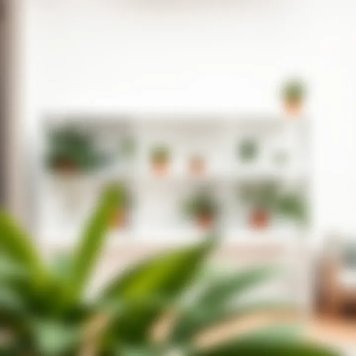 Aesthetic Versatility of a 60-Inch White Shelf Minimalist white shelf adorned with plants