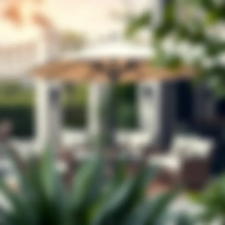 Elegant Patio Design with 8 ft Umbrella Elegant patio design featuring an 8 ft umbrella