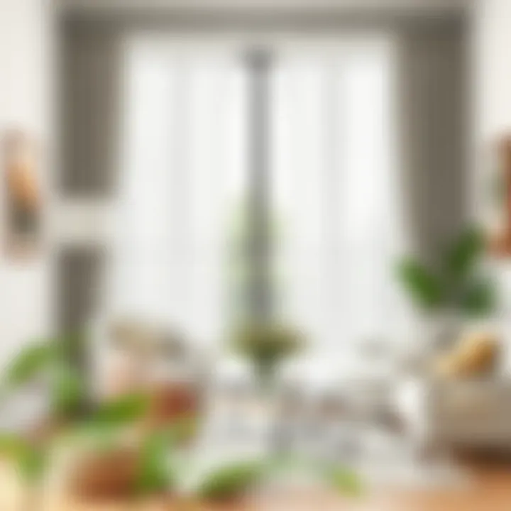 Complementary Decor for Sage Lace Various color palettes and decor options complementing sage lace