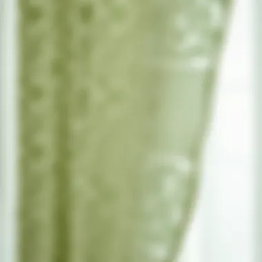 Exquisite Sage Lace Texture Close-up of sage lace texture highlighting its exquisite details