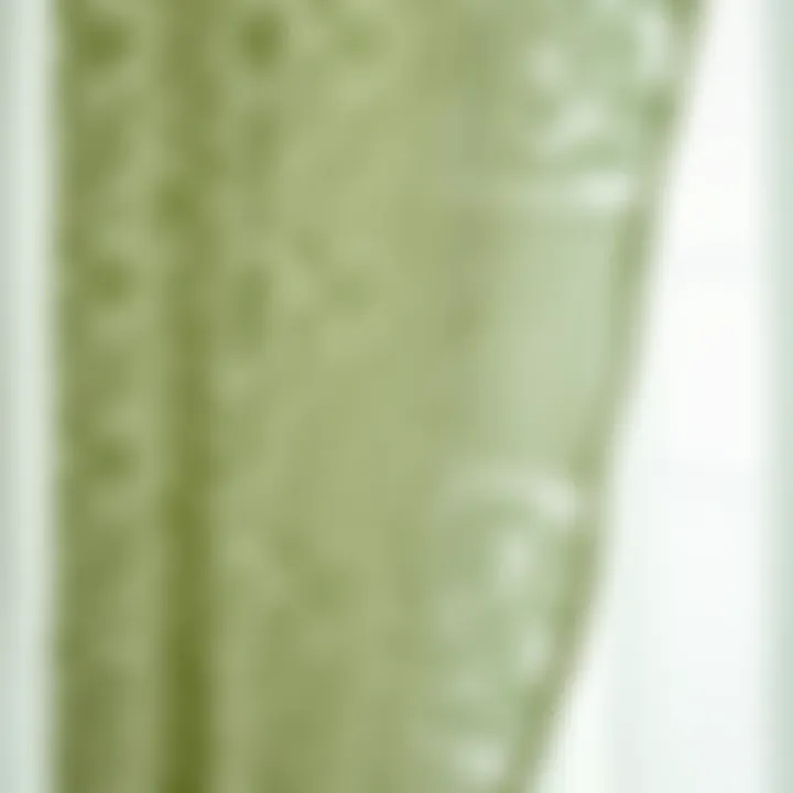 Exquisite Sage Lace Texture Close-up of sage lace texture highlighting its exquisite details