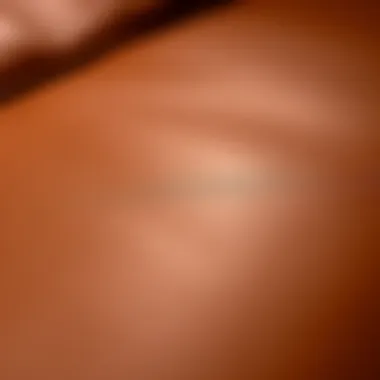Close-up view of saddle leather texture showcasing its rich grain.