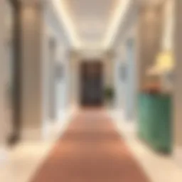 Elegant plush carpet runner in a modern hallway