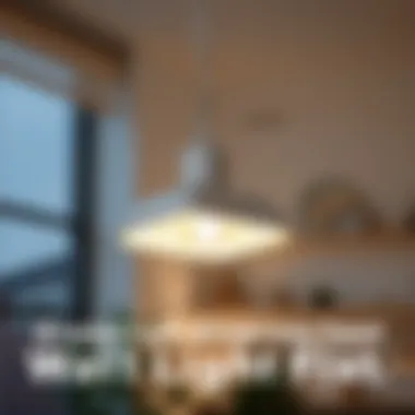 Sustainable Lighting Solutions Energy-efficient LED wall mount light fixture