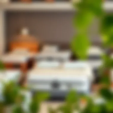 Different types of full-size mattresses displayed