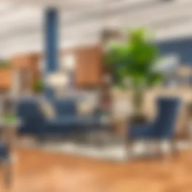 Exploring Local Retailers and Their Offerings Furniture retailer showcasing diverse design styles