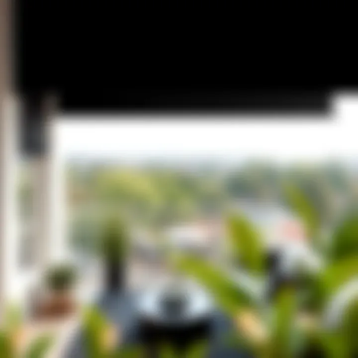 Elegant Balcony Design with Black Screens Beautifully designed balcony with black privacy screens