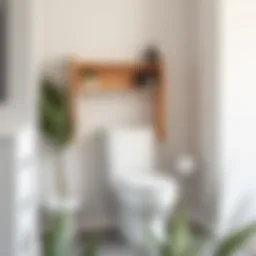 Elegant minimalist toilet shelf design