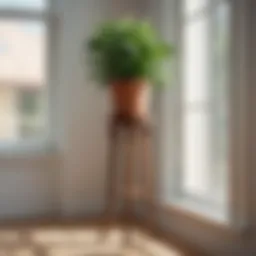 Elegant wooden plant stand against a sunlit window