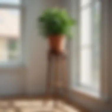 Elegant wooden plant stand against a sunlit window