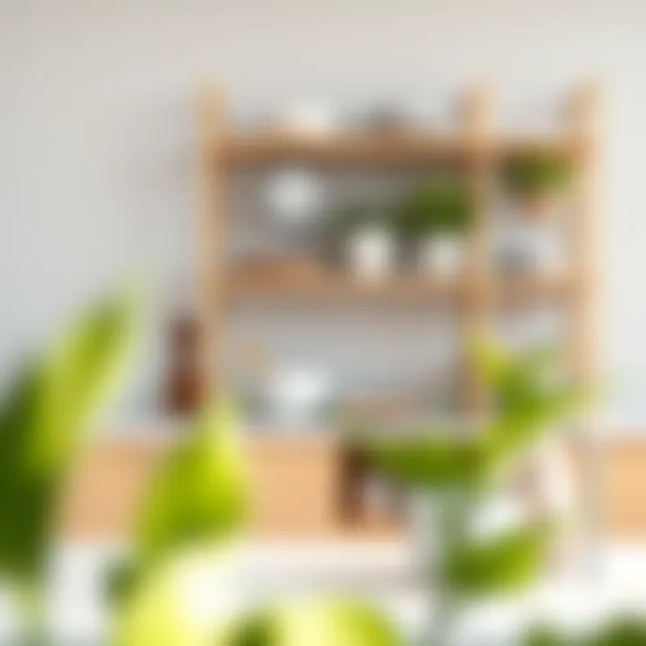 Functional materials ideal for constructing a shelf in tight spaces