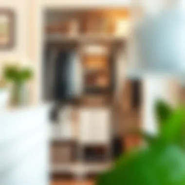 Closet Transformation Showcase Before-and-after comparison of a small closet transformation.