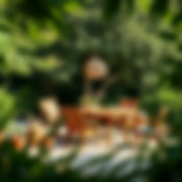 Rustic Outdoor Table Set Surrounded by Nature Rustic outdoor table set surrounded by nature