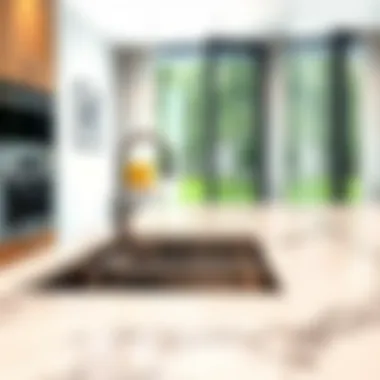 Seamless Integration of Stainless Steel Sink and Countertop Elegant stainless steel sink integrated with countertop