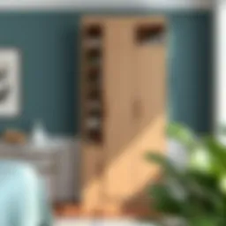 Elegant tall cupboard with shelves showcasing modern design