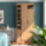 Contemporary Tall Cupboard Design Elegant tall cupboard with shelves showcasing modern design