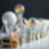 Different types of screw-in light bulbs displayed together