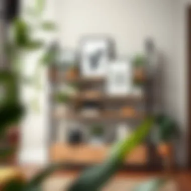 A curated display on a stand up shelving unit featuring plants and art