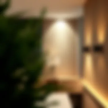 Creating Ambiance with Wall LED Lighting Ambient lighting created by wall LED lights