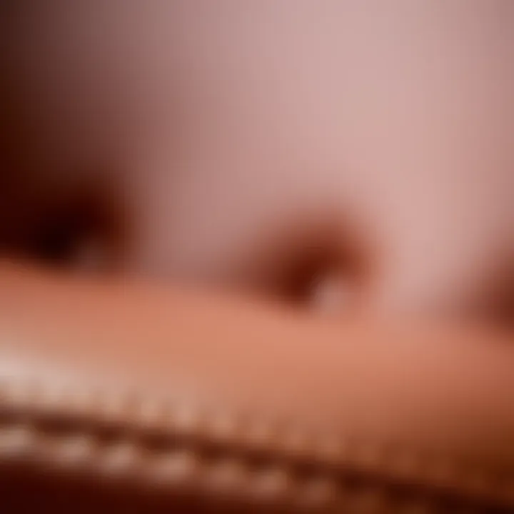 Close-Up of Leather Material Close-up of high-quality leather material used in spinny chair construction.