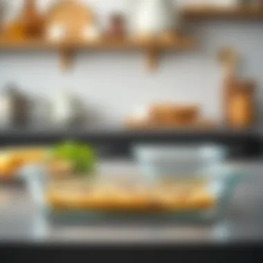 Comparison of glass versus metal baking dish designs