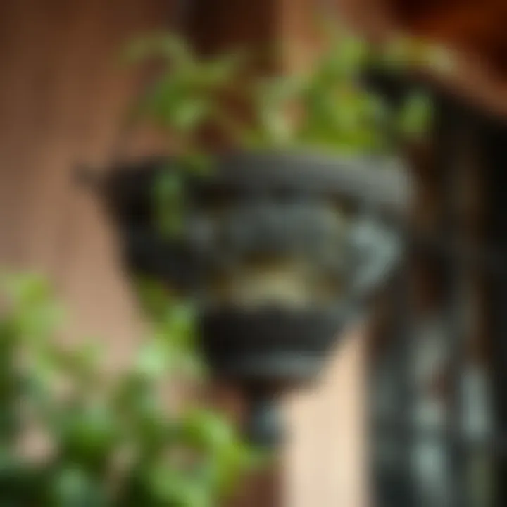 Close-up view of intricate design details on a cast iron hanging planter