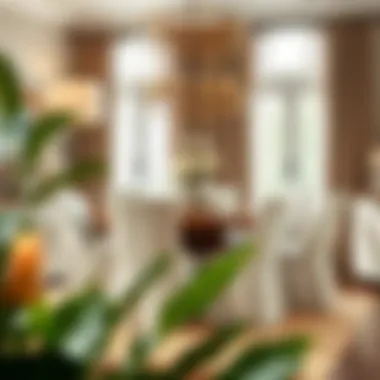 Stylish Designs in Dining Spaces Stylish dining area showcasing different chair cover designs